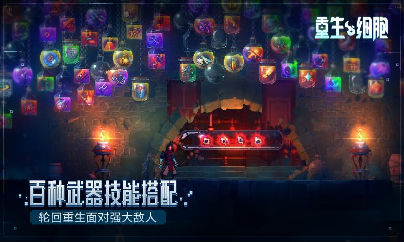 deadcells2.5国际版