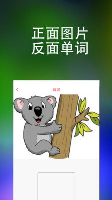 万词王